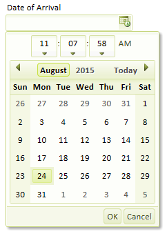 Date and Time Picker